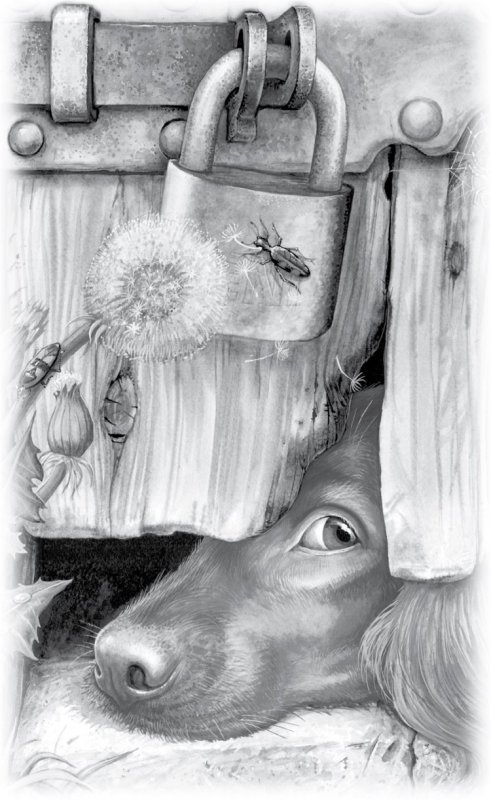 Бездомная собака рисунок карандашом