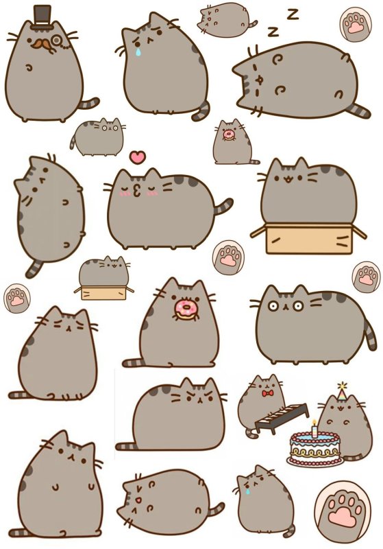 Пушин Кэт аниме