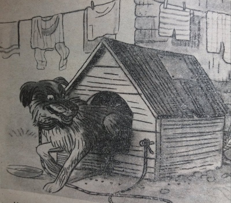 Кусака карандашом