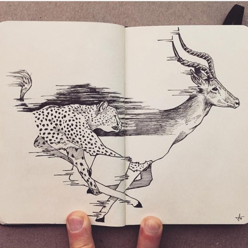 Рисунки карандашом