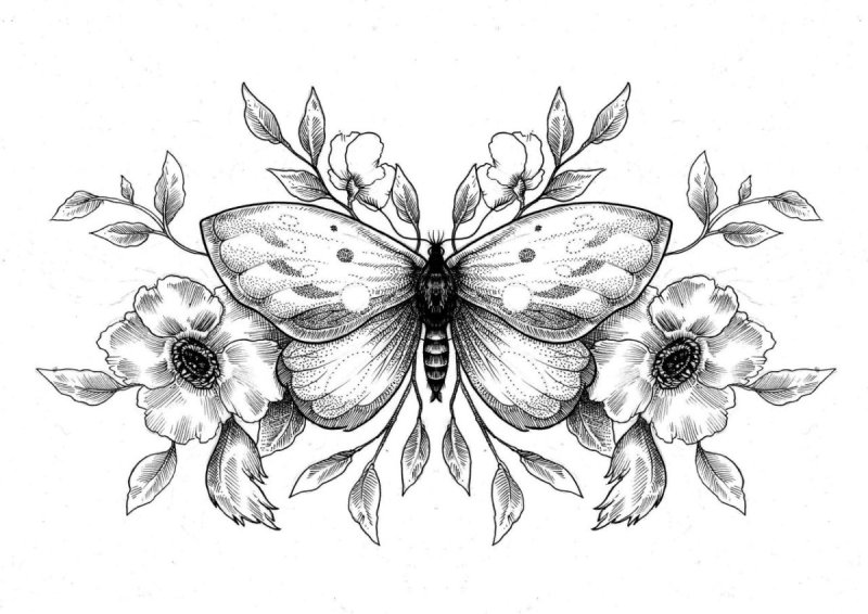 Скетчи цветов