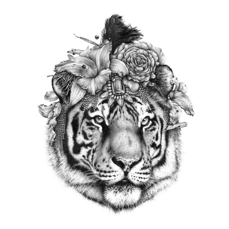 Тигр Нео традишнл эскиз