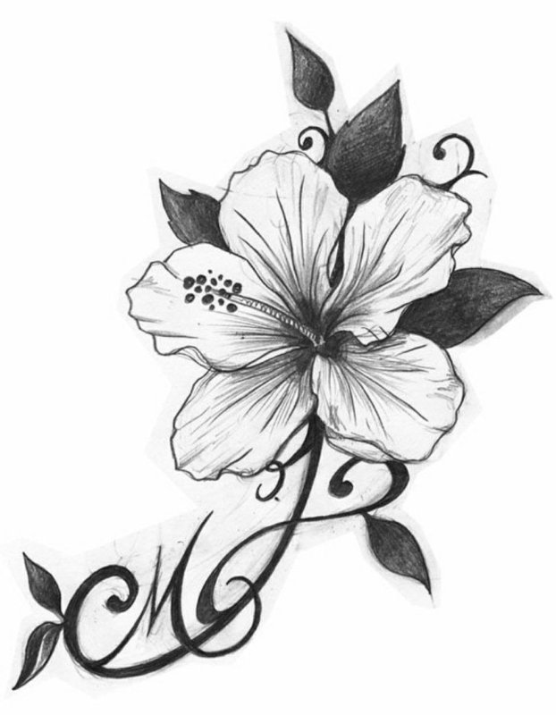 Цветочки карандашом для срисовки