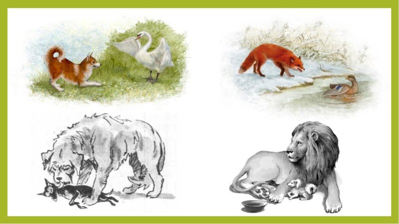 Иллюстрация к произведению кусака лёгкие