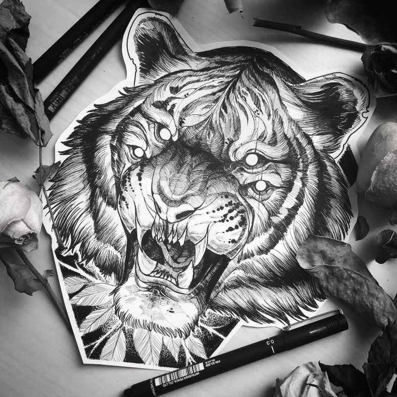 Тигр эскиз