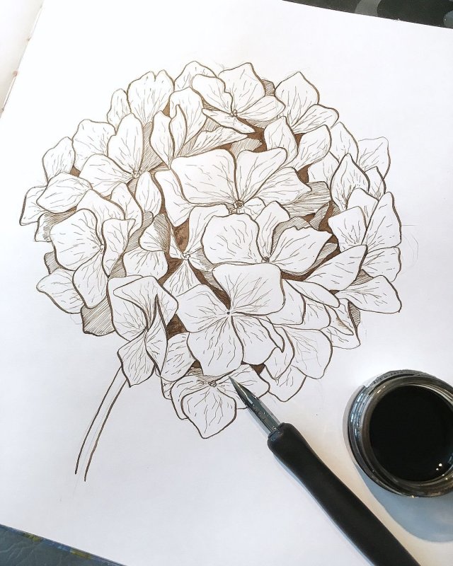 Картинки для срисовки карандашом сложные