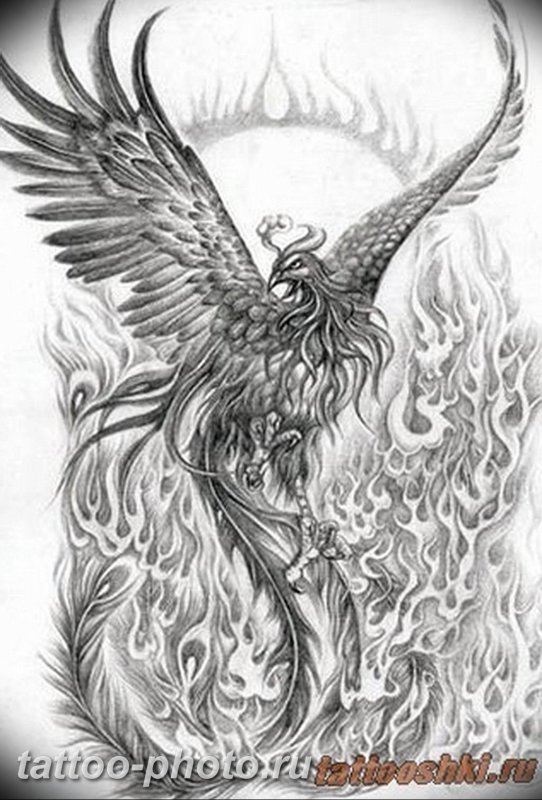 Тату птица Феникс чб