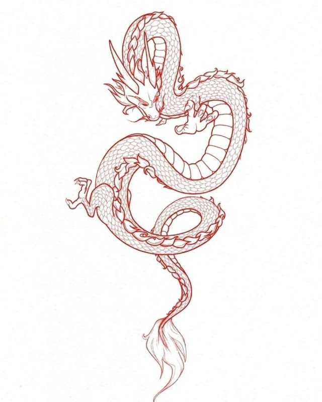 Японский дракон контур