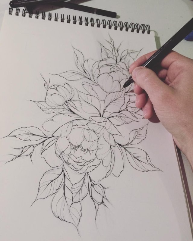 Пионы дотворк эскиз