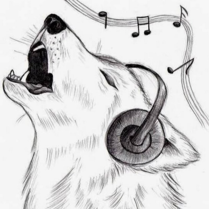 Картинки для срисовки девушки