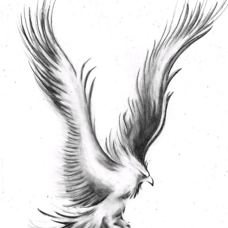 Птица Феникс тату эскизы