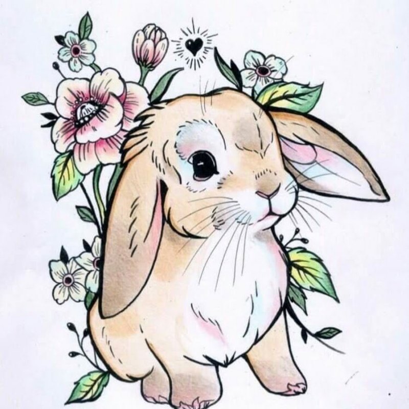 Кролик рисунок