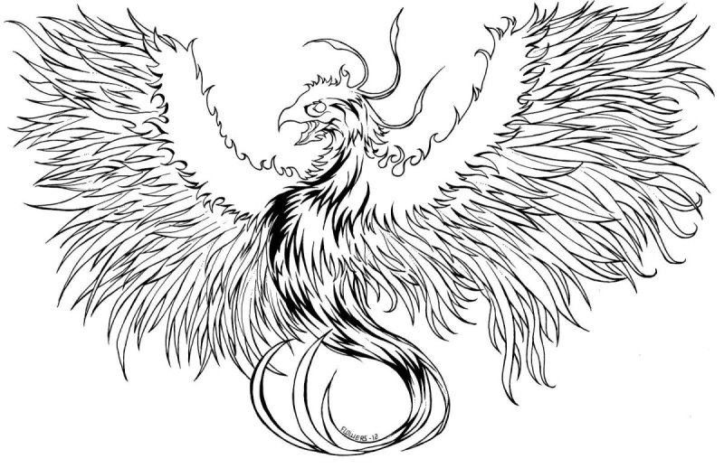 Эскиз скетч Феникс