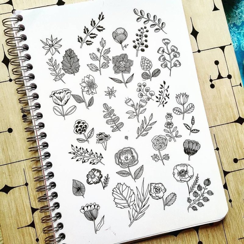 Красивые рисунки черной ручкой