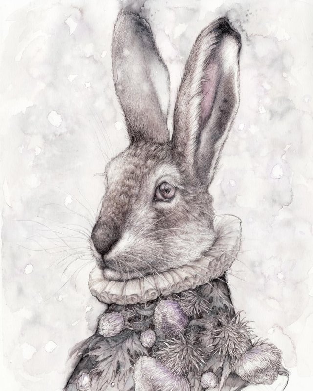 Кролики арт смешные