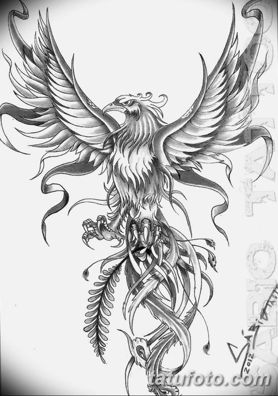 Феникс эскиз цветной