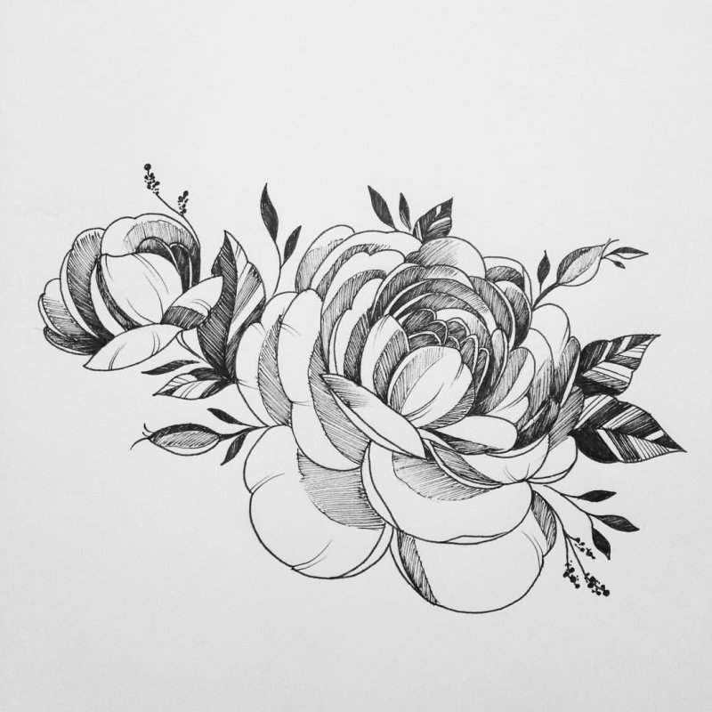 Пионы випшейдинг тату