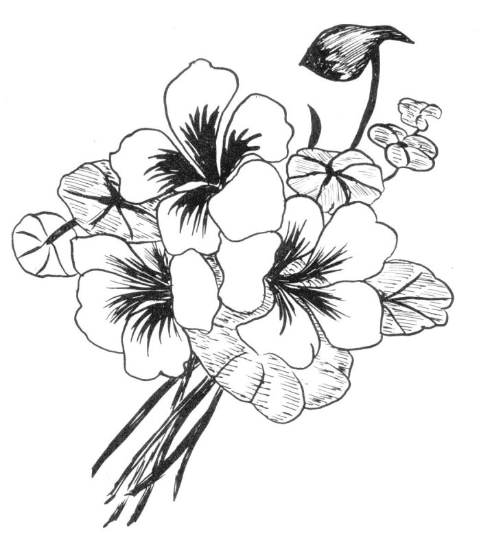 Эскизы татуировок цветы