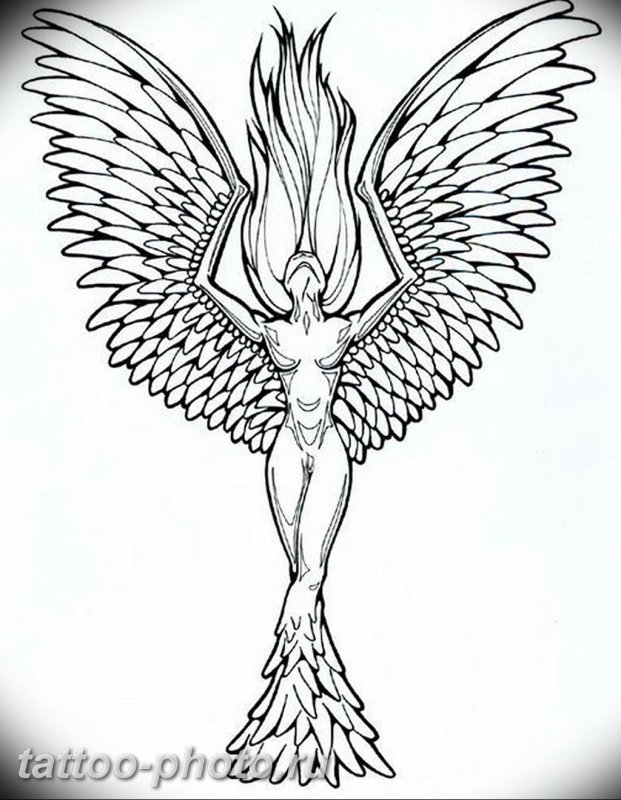 Тату эскиз Феникс Жар птица