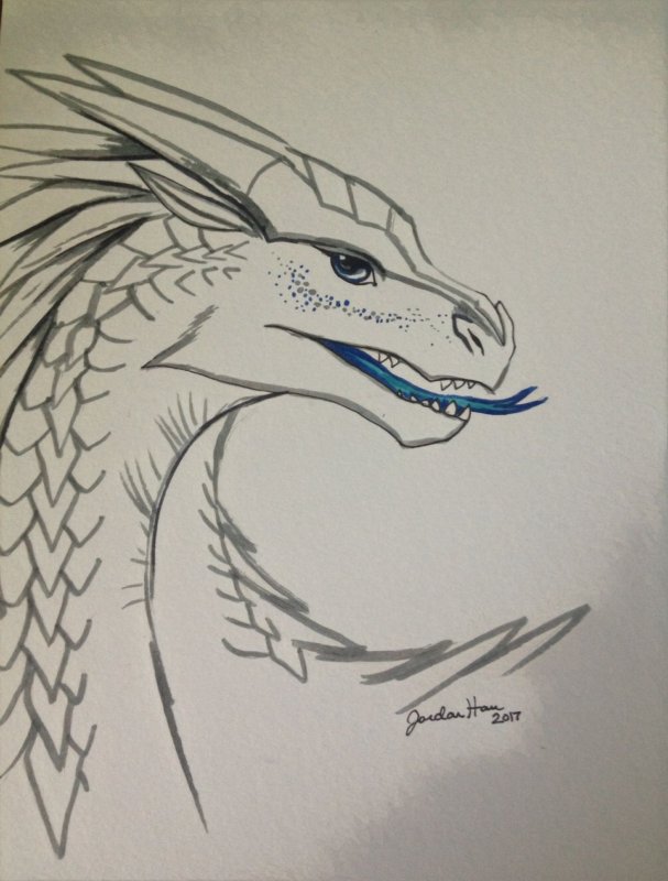 Картинки для срисовки драконы