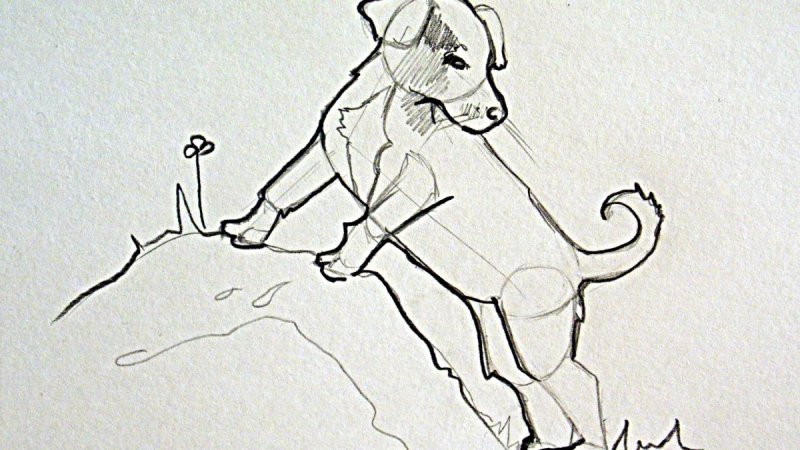 Собачка Муму