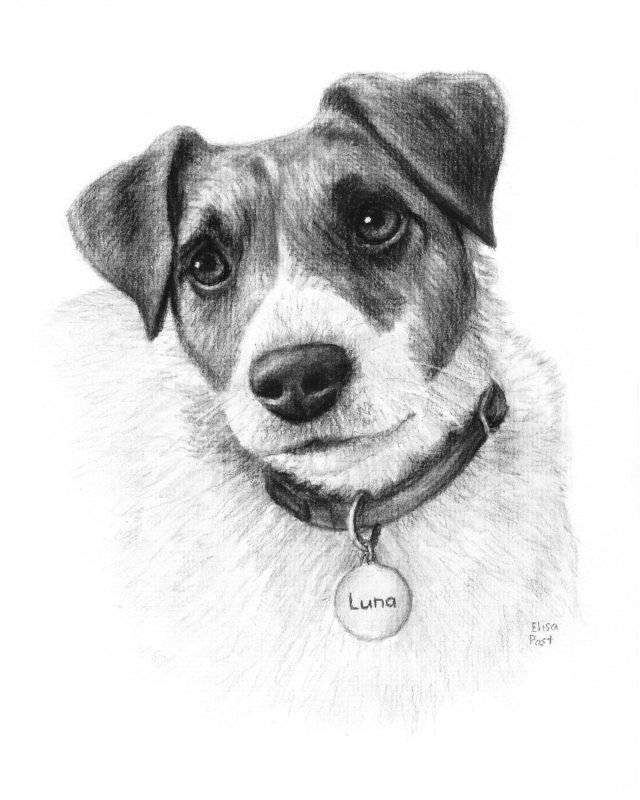 Муму восстание