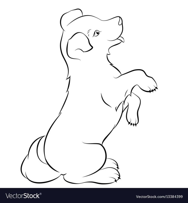 Муму поздравить с днем рождения