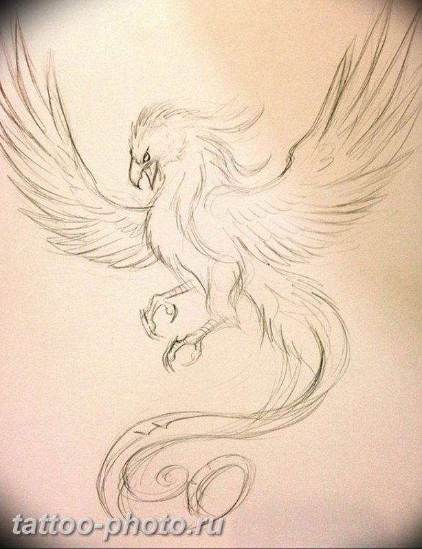 Мифические птицы тату