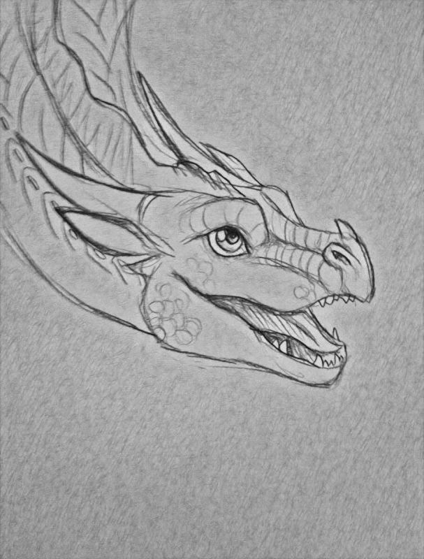 Голова дракона контур