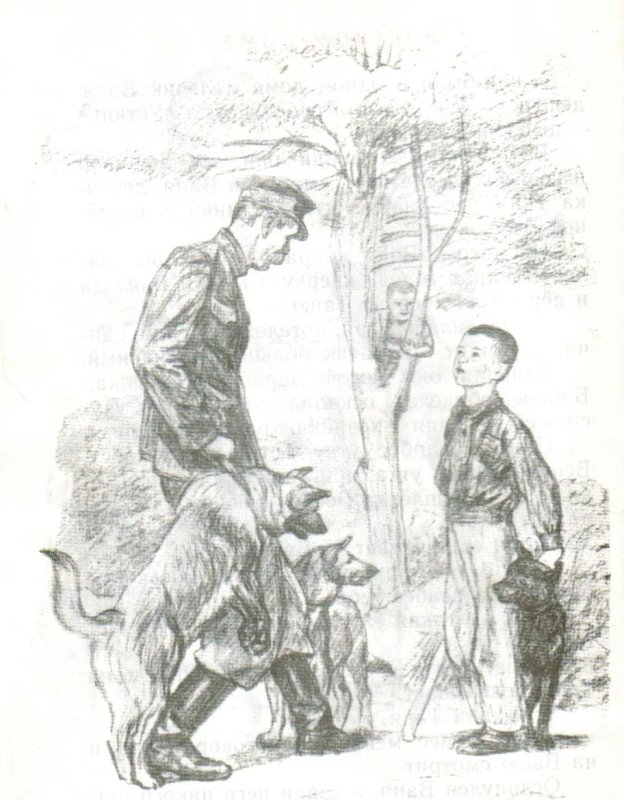 Жулька рисунок карандашом