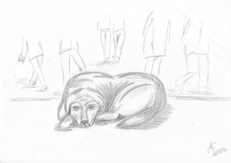 Герасим и Муму в лодке