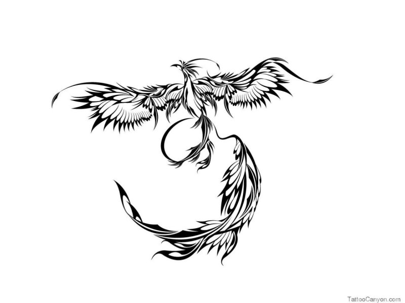 Тату трайбл птица эскизы