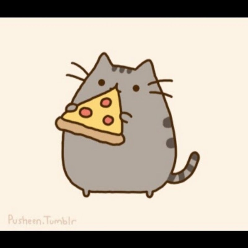 Рисунки для срисовки котики