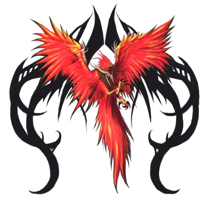 Тату Феникс Кельтский стиль