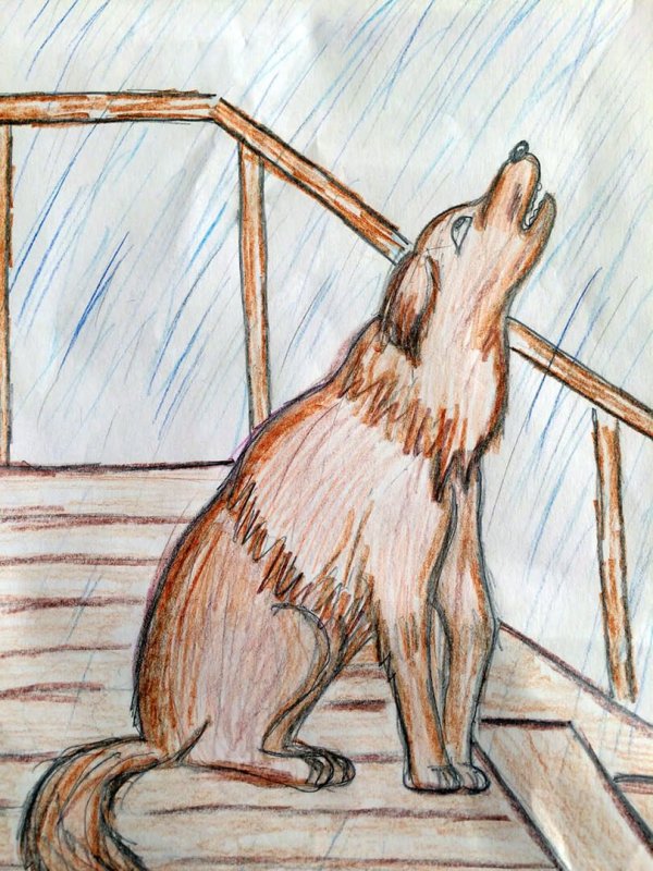 Кусака мучитель