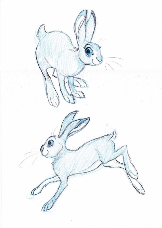 Кролик карандашом для срисовки