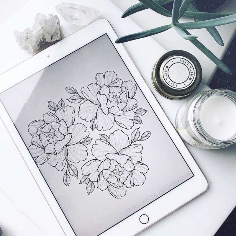 Пионы лайнворк