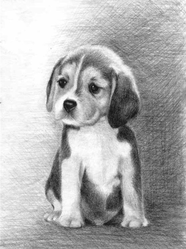 Герасим и Муму раскраска