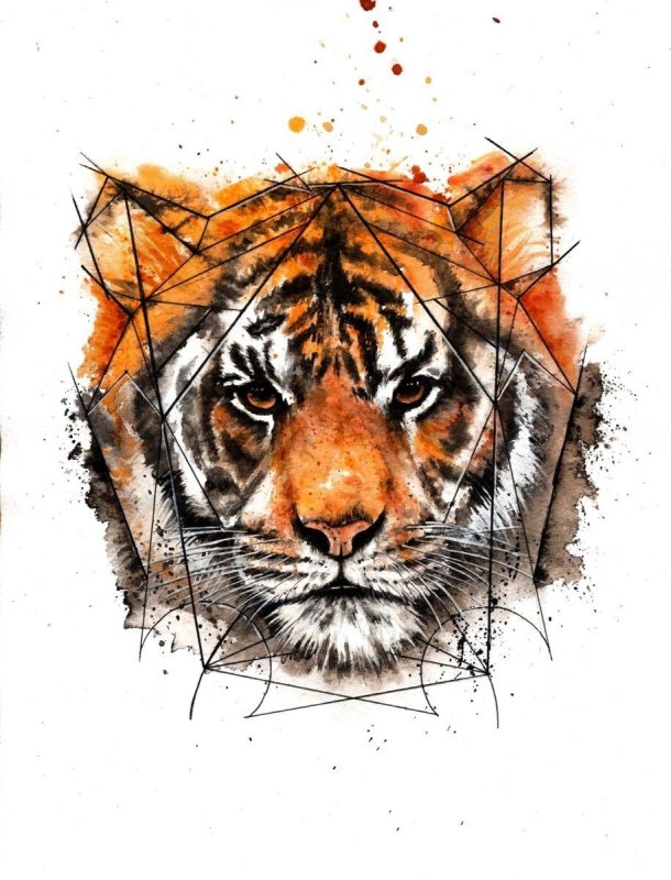 Белый тигр эскиз