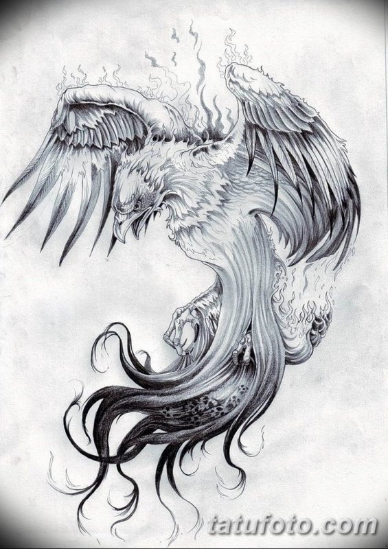 Птица Феникс черно белая