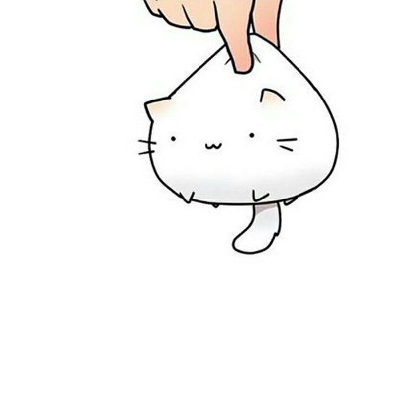 Пушин и Сторми