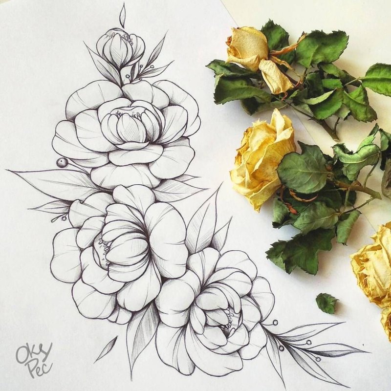 Пионы дотворк