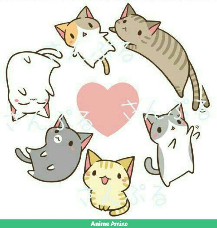 Пушин зэ Кэт