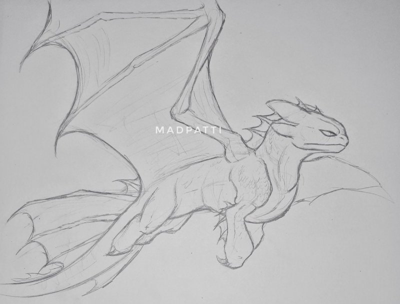 Голова дракона набросок