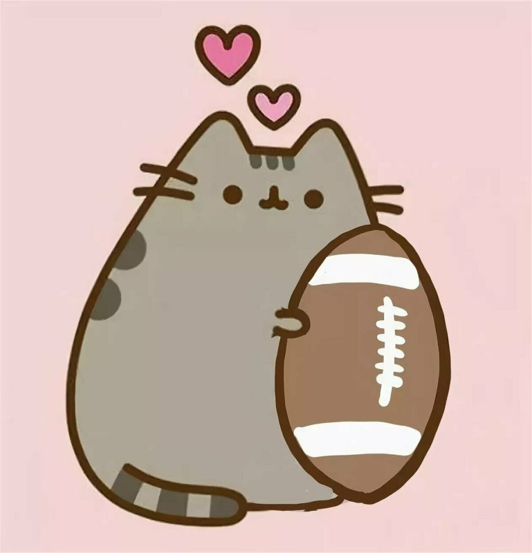 Пушин Кэт покемон