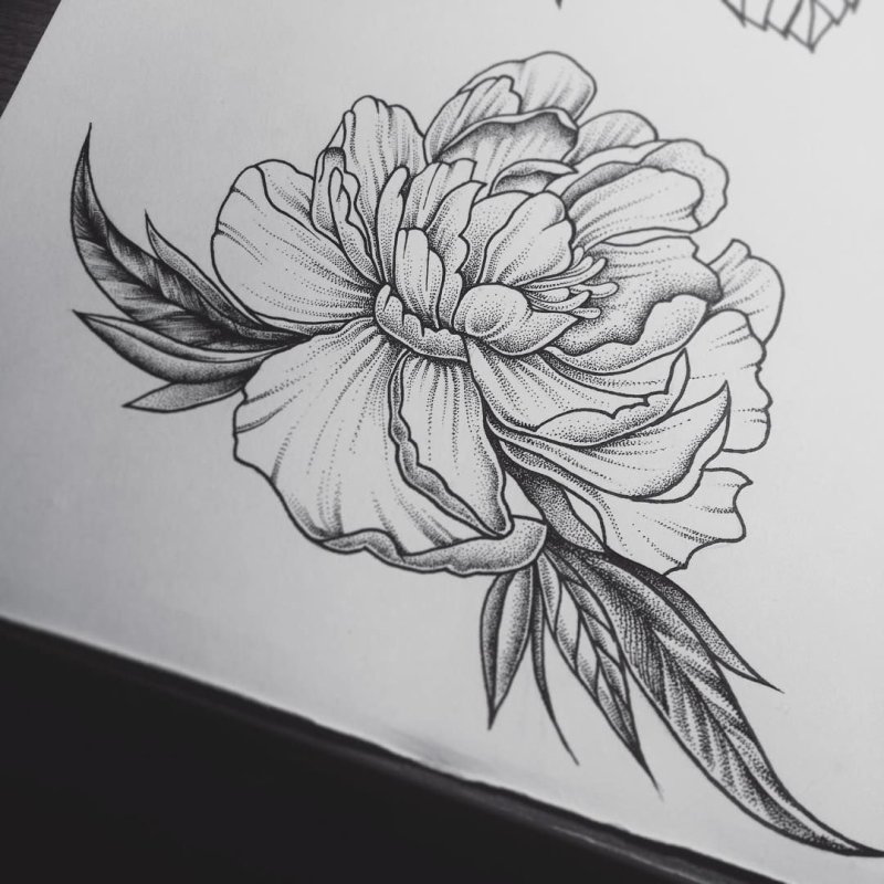 Акварельные пионы тату