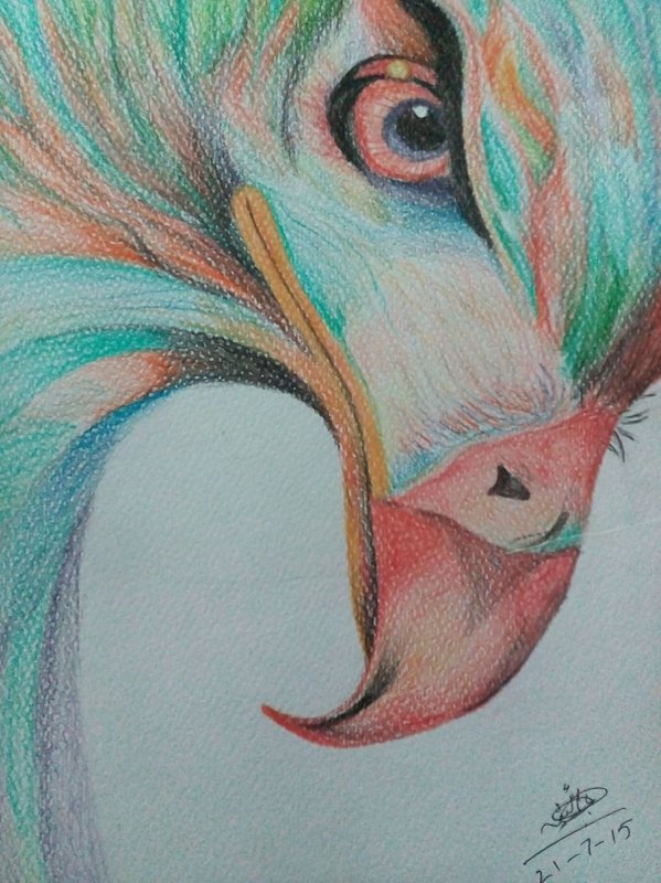 Рисунки цветными карандашами