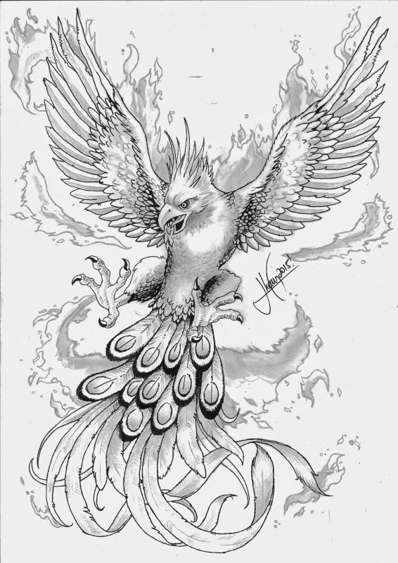 Феникс раскраска для детей