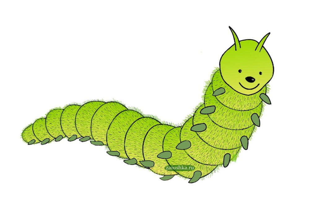 Дудлы насекомые