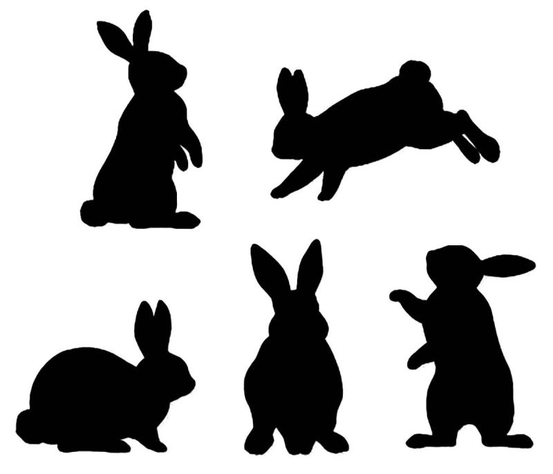 Кролик Минимализм